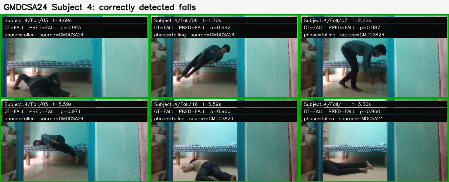 True positive fall detections